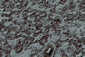 South Polar Residual Cap Monitoring Site