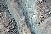 Gullied Crater Wall