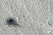 Monitoring New Impact Site 