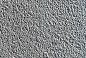 Candidate Landing Site for SpaceX Starship East of Arcadia Planitia