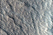 Terrain Sample