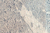 Terrain South of Athabasca Valles