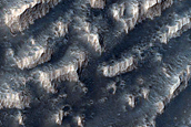 Terrain Sample