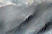 Terrain Sample