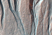 Gully Monitoring