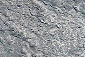 Proposed Site for Future Exploration in Phlegra Montes