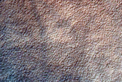 Gully Monitoring
