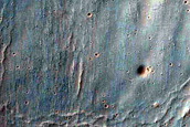 Gully Monitoring