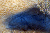 Dune Field