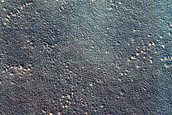 Candidate Landing Site for SpaceX Starship in Arcadia Planitia