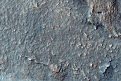 Irregular Cellular Structures around Crater in Southern Mid-Latitudes