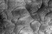 Dune Monitoring in Crater