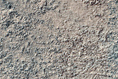 Terminus of Multiple Ice-Rich Flows