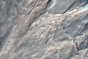 Gully Monitoring