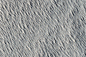 Wind Eroded Terrain