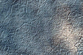 Dune Field