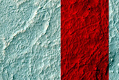 Irregular Cellular Structures around Crater in Southern Mid-Latitudes
