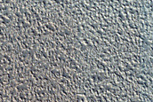 Candidate Landing Site for SpaceX Starship East of Arcadia Planitia