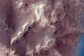 Dune Field