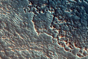 Dune Field