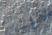 Irregular Cellular Structures around Crater in Southern Mid-Latitudes