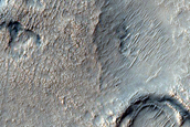 Irregular Cellular Structures around Crater in Southern Mid-Latitudes