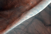 USGS Dune Database Entry Number 0236-604