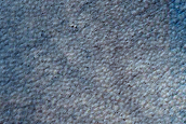 Dune Field