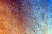 Dune Field