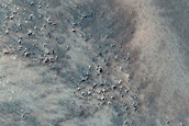 Dune Field