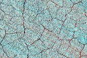 Perennial Ice Monitoring