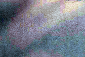 Dune Field