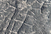 Ridges in Nepenthes Mensae