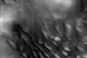 Dune Monitoring in Milankovic Crater