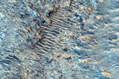 Phyllosilicates in Libya Montes