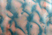 Dune Monitoring in Lomonosov Crater