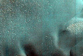 Dune Monitoring in Crater