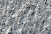 Search for Mars Polar Lander