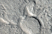 Irregular Cellular Structures around Crater in Arabia Terra