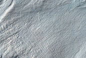 Equator-Facing Gullies in Filled Crater
