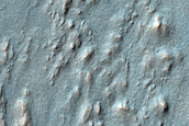 Large Viscous Flow Feature in Nereidum Montes