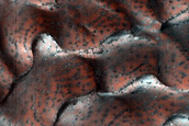 Dune Monitoring in Crater