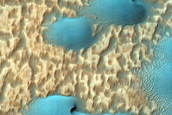 Dune Survey