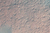 Dune Survey