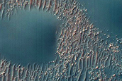 Dune Survey