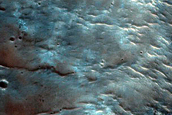 Dune Survey