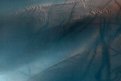 Dune Monitoring in Moreux Crater
