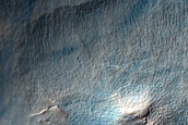 Irregular Cellular Structures around Crater in Southern Mid-Latitudes