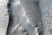 Irregular Cellular Structures around Crater in Southern Mid-Latitudes