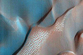 Dune Survey